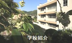 学校紹介