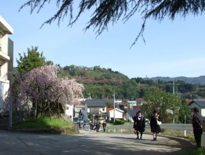 DSCF8115