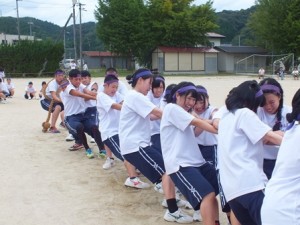 紫組