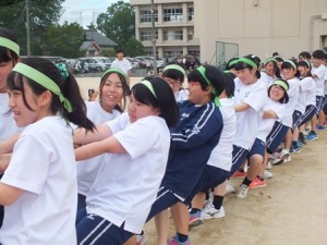 緑組