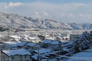 IMG_6080