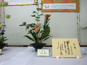 DSCF1181