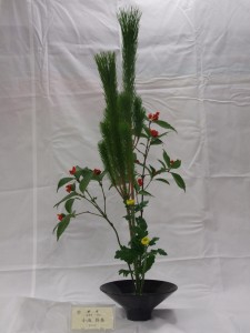 DSCF9043