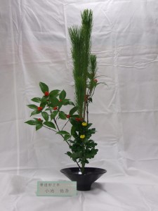 DSCF9047