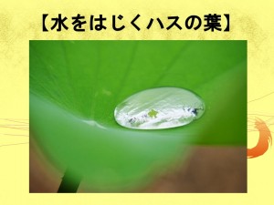 スライド4