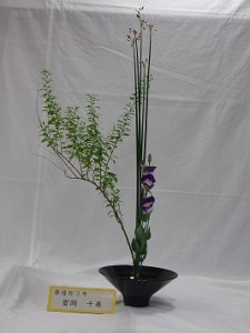 DSCF9355