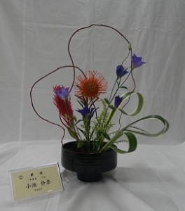 re25DSC06735-2