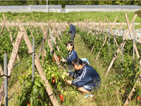 未来創造探究Ⅰ２