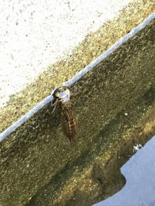 羽ばたく時に備えて