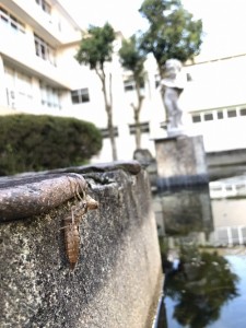 無事羽ばたいていきました