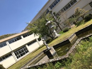 中庭の池（近景）