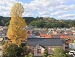 文化の薫り「蒼雲館」のご紹介