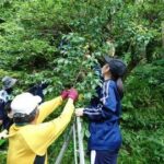 JRC部　峯寺で梅の収穫をしました